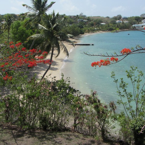 Calabash, Grenada