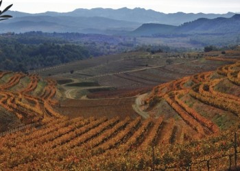 Catalonia, farm, Spain