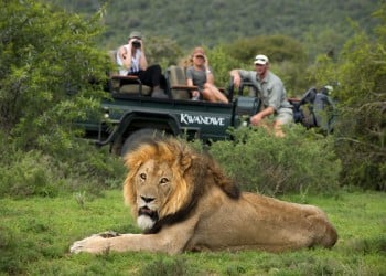 Kwandwe Game Reserve