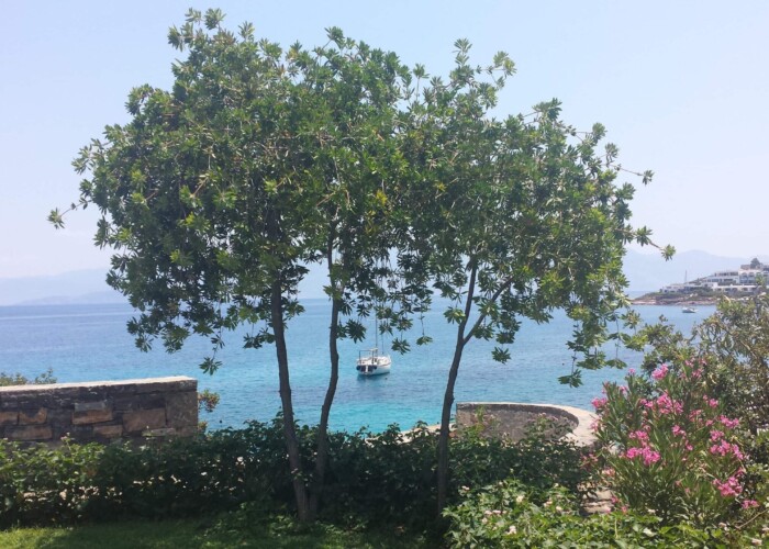 Elounda Mare , crete, greece