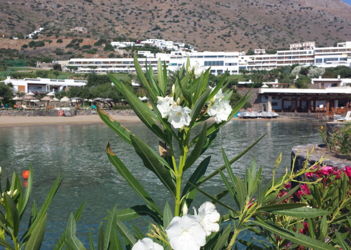 Elounda Porto Beach, crete, greece