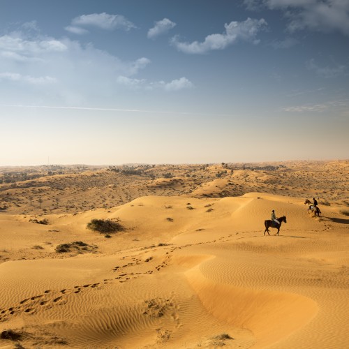 Horse riding in the desert, Ras Al Khaimah