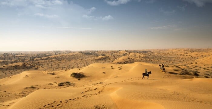 Horse riding in the desert, Ras Al Khaimah