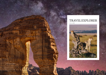 2020_ A Travel Odyssey