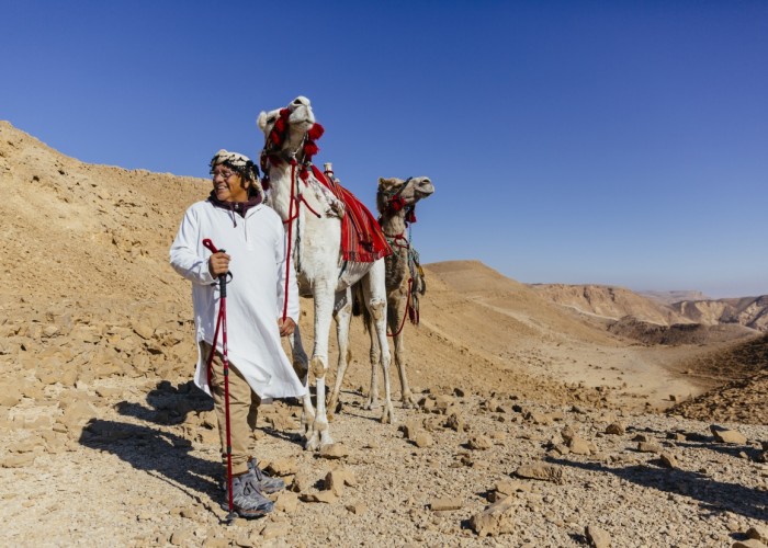Seffi_Experience_Manager_and_Camels_2_[9134-LARGE]