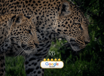 RB Collection Kenya Safari & Zanzibar Beach specialist tailor made trip 5* google review