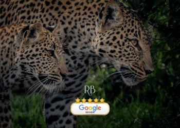 RB Collection Kenya Safari & Zanzibar Beach specialist tailor made trip 5* google review