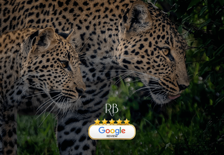 RB Collection Kenya Safari & Zanzibar Beach specialist tailor made trip 5* google review